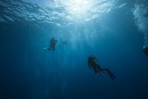 Taucher im Meer