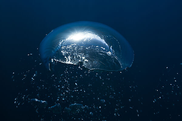 Air Bubbles in Ocean