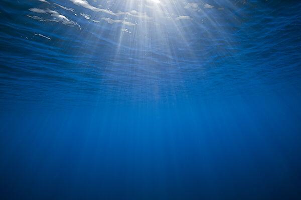 View to Surface from Underwater