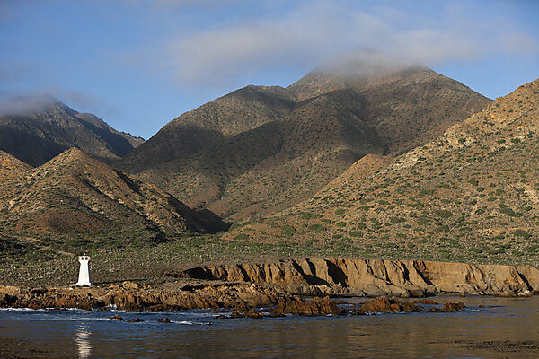 Kueste von Cedros Island