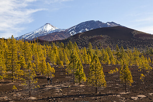 Kraterlandschaft des Teide Nationalparks