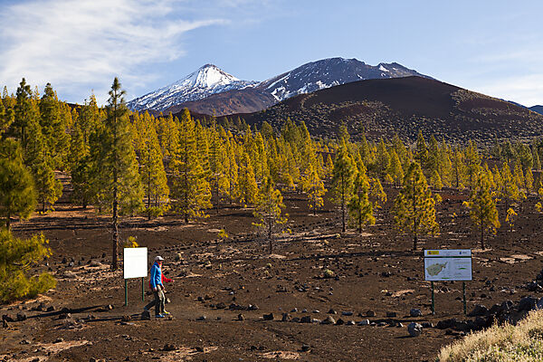 Kraterlandschaft des Teide Nationalparks
