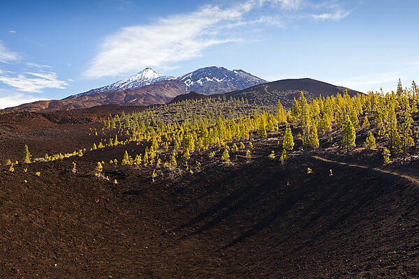 Kraterlandschaft des Teide Nationalparks