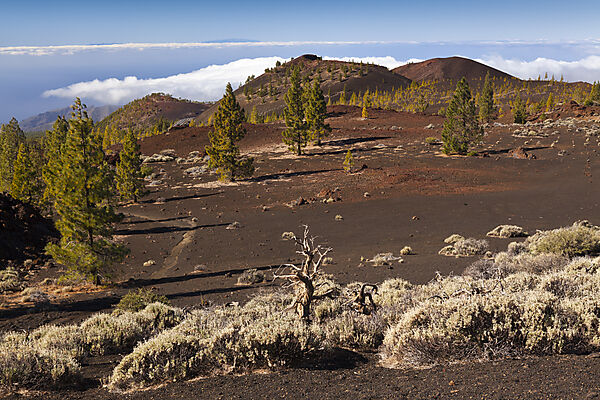 Kraterlandschaft des Teide Nationalparks