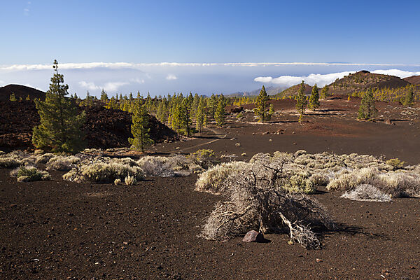 Kraterlandschaft des Teide Nationalparks