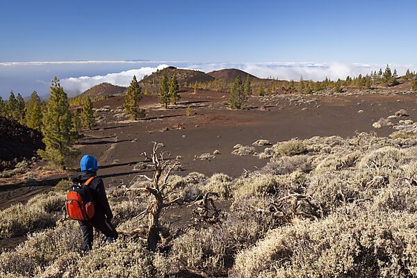 Kraterlandschaft des Teide Nationalparks