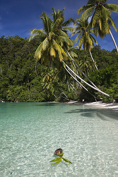 Tropische Insel in der Strait of Iris
