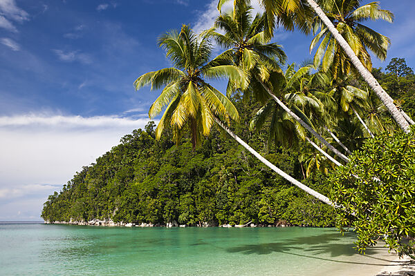 Tropische Insel in der Strait of Iris