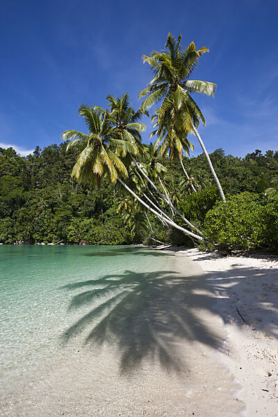 Tropische Insel in der Strait of Iris