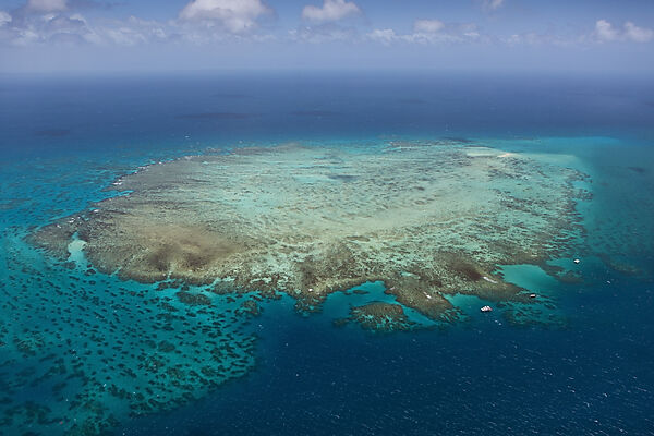 Luftaufnahme Grosses Barriere Riff, Queensland, Australien