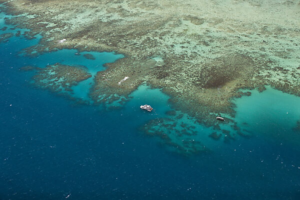 Tauchschiff am Grossen Barriere Riff, Queensland, Australien