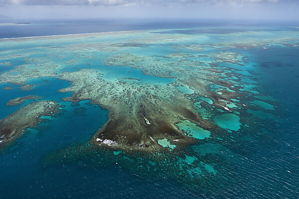 Luftaufnahme Grosses Barriere Riff, Queensland, Australien