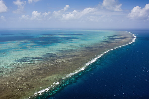 Luftaufnahme Grosses Barriere Riff, Queensland, Australien