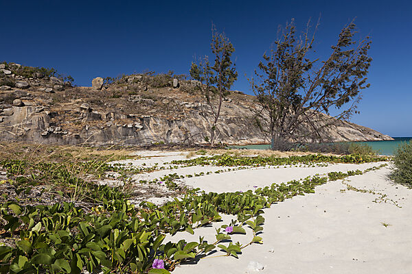 Lizard Island Nationalpark, Great Barrier Reef, Australien