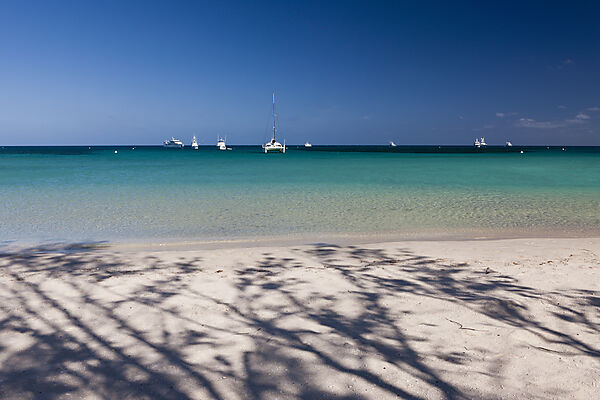 Watsons Bay Lizard Island, Great Barrier Reef, Australien
