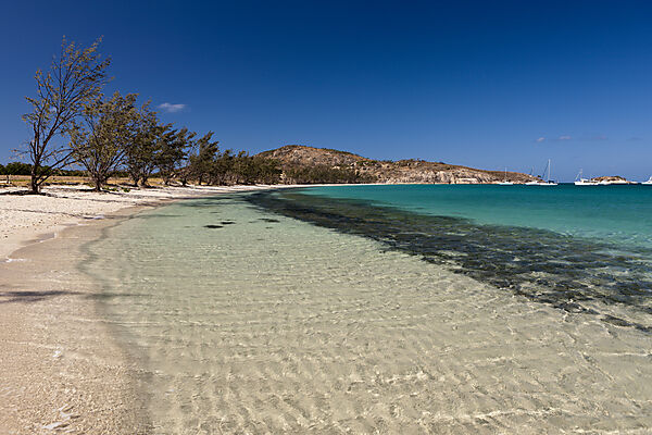 Watsons Bay Lizard Island, Great Barrier Reef, Australien