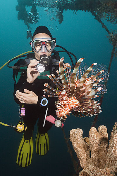 Rotfeuerfische am Mbike Wrack, Pterois volitans, Florida Islands, Salomonen