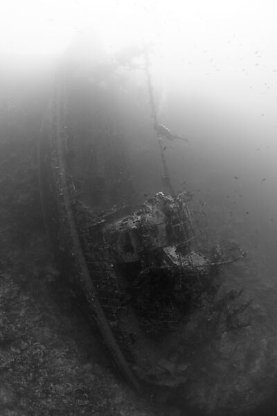 Upright Tuna Boat Wreck, Marovo Lagoon, Solomon Islands