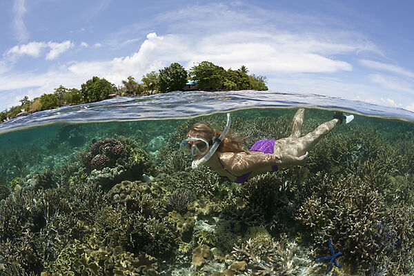 Schnorcheln im Flachwasser, Florida Islands, Salomonen