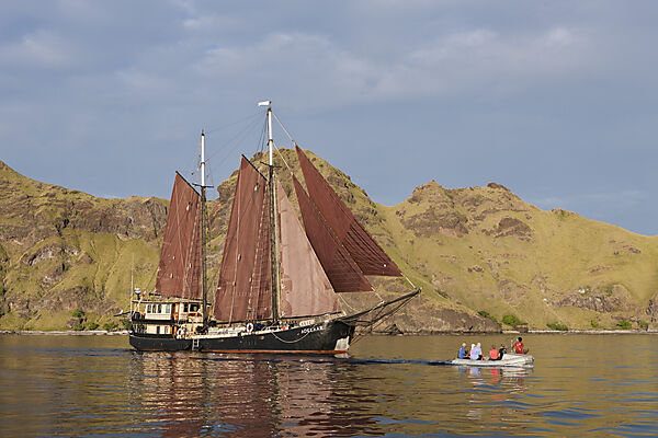 Tauch-Kreuzfahrtschiff SS Adelaar in Komodo, Komodo Nationalpark, Indonesien