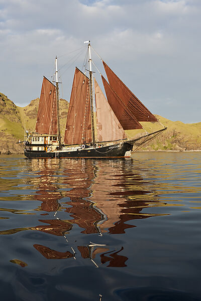 Tauch-Kreuzfahrtschiff SS Adelaar in Komodo, Komodo Nationalpark, Indonesien