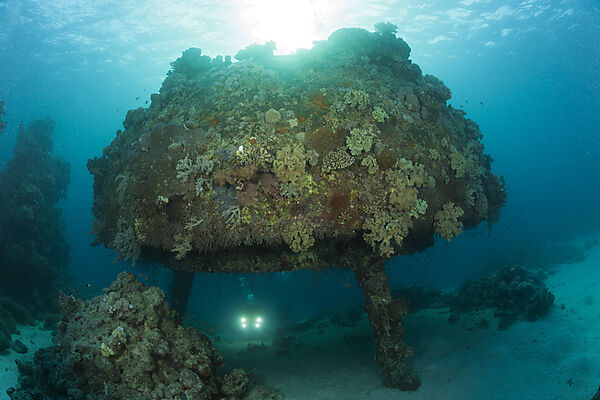 Taucher unter Jacques Cousteau Unterwasserstation Precontinent II, Shaab Rumi, Rotes Meer, Sudan