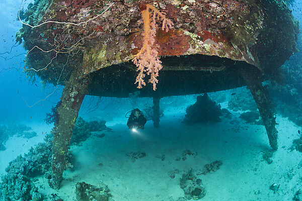 Taucher unter Jacques Cousteau Unterwasserstation Precontinent II, Shaab Rumi, Rotes Meer, Sudan