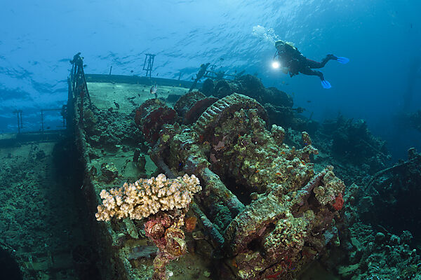 Scuba Diver at Umbria Wreck, Wingate Reef, Red Sea, Sudan