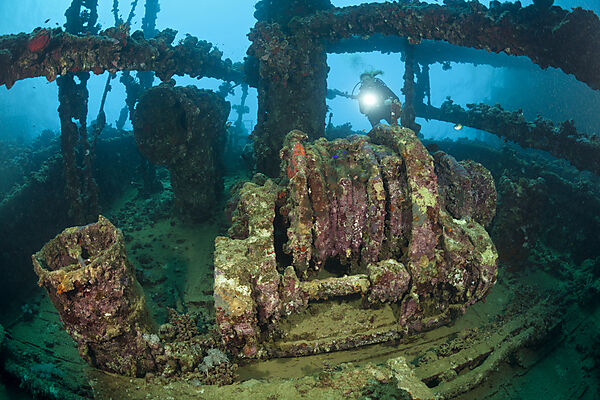 Scuba Diver at Umbria Wreck, Wingate Reef, Red Sea, Sudan