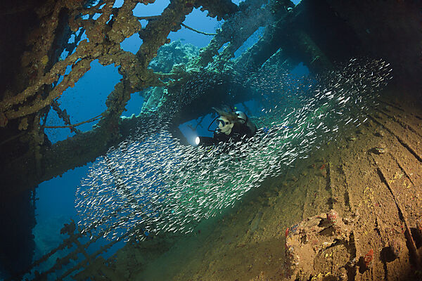 Scuba Diver at Umbria Wreck, Wingate Reef, Red Sea, Sudan