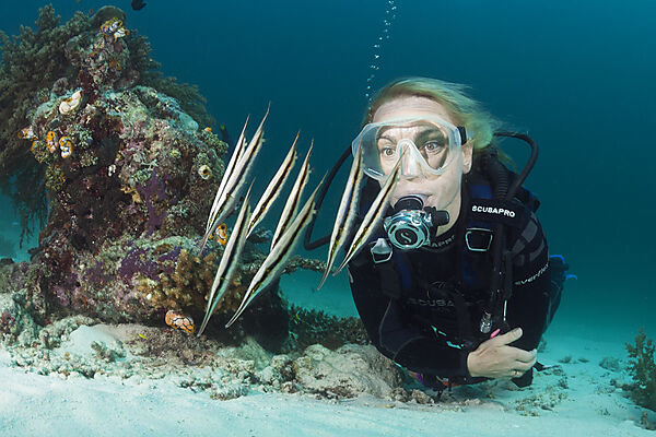 Diver and Shoal of Razorfish, Aeoliscus strigatus, Ambon, Moluccas, Indonesia