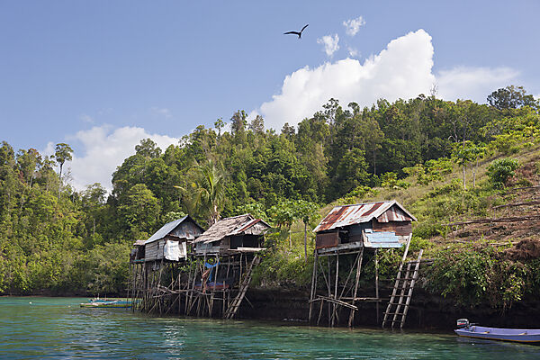 Traditionelle Haeuser auf Stelzen, Gam, Raja Ampat, West Papua, Indonesien