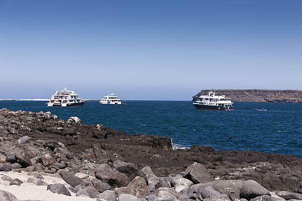 Tauch-Kreuzfahrtschiffe vor Anker, North Seymour, Galapagos, Ecuador
