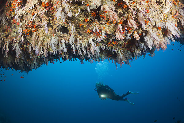 Scuba Diver exploring Overhang, Felidhu Atoll, Maldives
