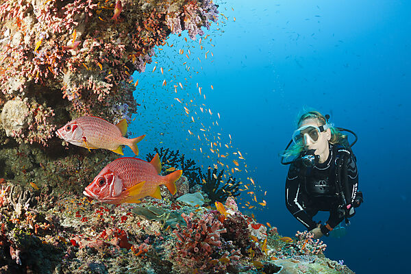 Scuba Diver on Coral Reef, Felidhu Atoll, Maldives