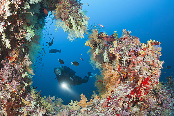 Scuba Diver on Coral Reef, Felidhu Atoll, Maldives