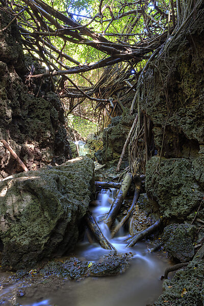Andersons Dale Trail, Weihnachstinsel, Australien