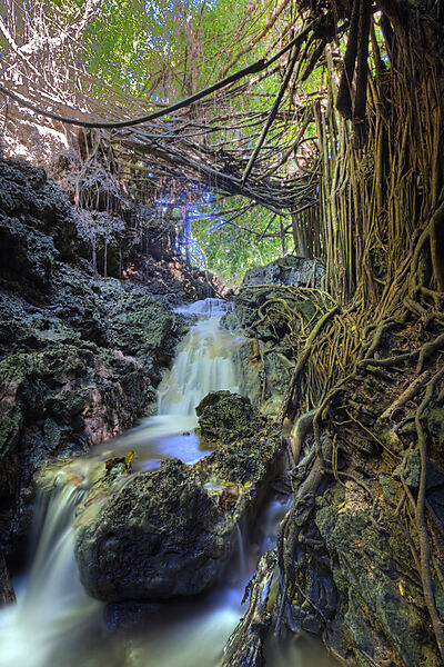 Andersons Dale Trail, Weihnachstinsel, Australien