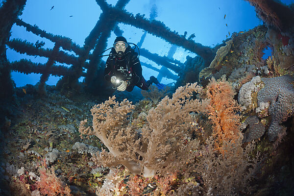 Taucher am Numidia Wrack, Brother Islands, Rotes Meer, Aegypten