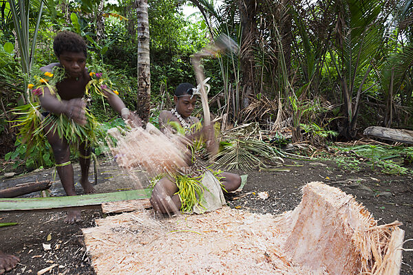 Demonstration der Sago-Herstellung, Tufi, Oro Provinz, Papua Neuguinea