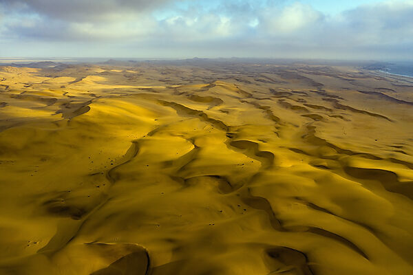 Sand Dunes of Namib Desert, Namib Naukluft National Park, Namibia