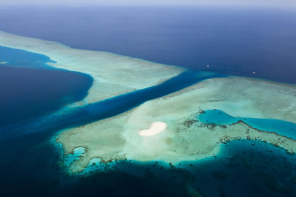 Diving Spot Fotteyo Channel, Felidhu Atoll, Indian Ocean, Maldives