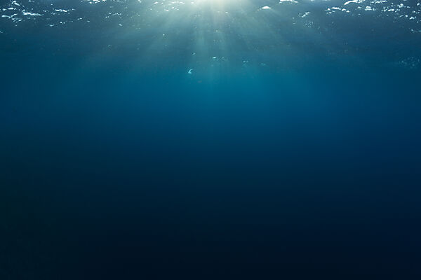 Blick zur Wasseroberflaeche, Nord Male Atoll, Indischer Ozean, Malediven