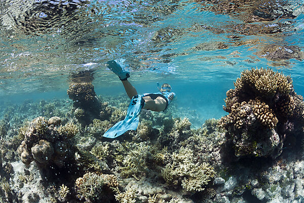 Schnorcheln in Franzoesisch Polynesien, Apataki Atoll, Tuamotu Archipel, Franzoesisch Polynesien