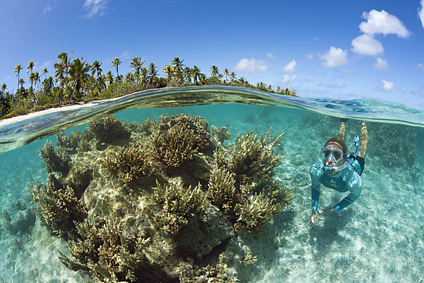 Schnorcheln in Franzoesisch Polynesien, Apataki Atoll, Tuamotu Archipel, Franzoesisch Polynesien