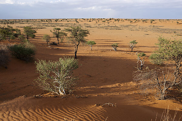 Landschaft bei Kalkrand, Kalahari Becken, Namibia