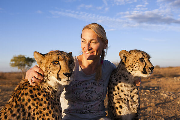 Touristin und zahme junge Geparde, Acinonyx jubatus, Kalahari Becken, Namibia