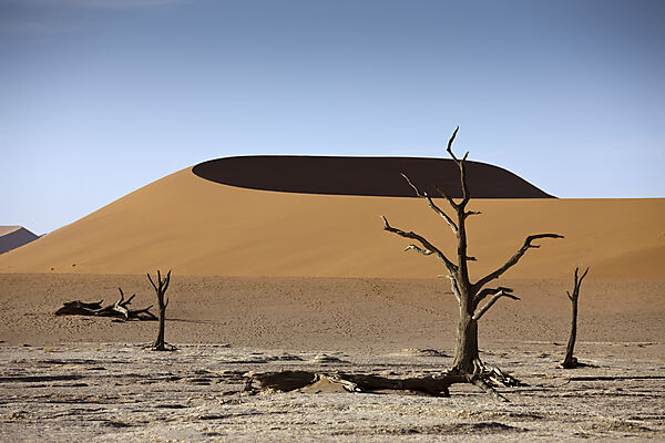 Big Mama Duene im Sossusvlei Areal, Namib Naukluft Park, Namibia
