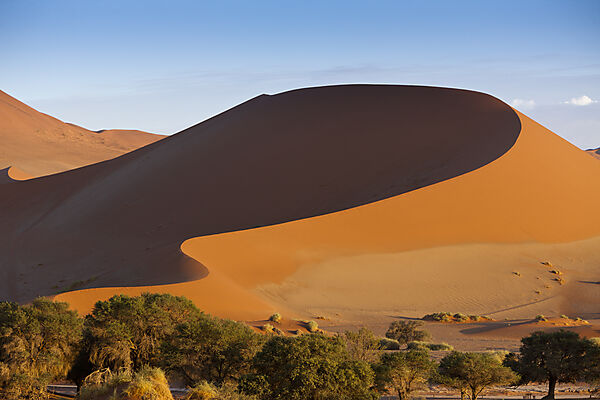 Big Mama Duene im Sossusvlei Areal, Namib Naukluft Park, Namibia