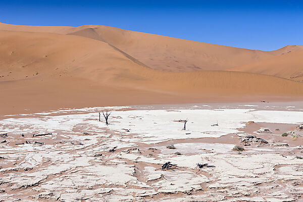 Impressionen von Hiddenvlei, Namib Naukluft Park, Namibia